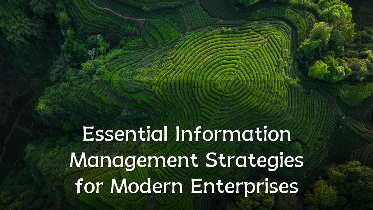 Essential Information Management Strategies for Modern Enterprises