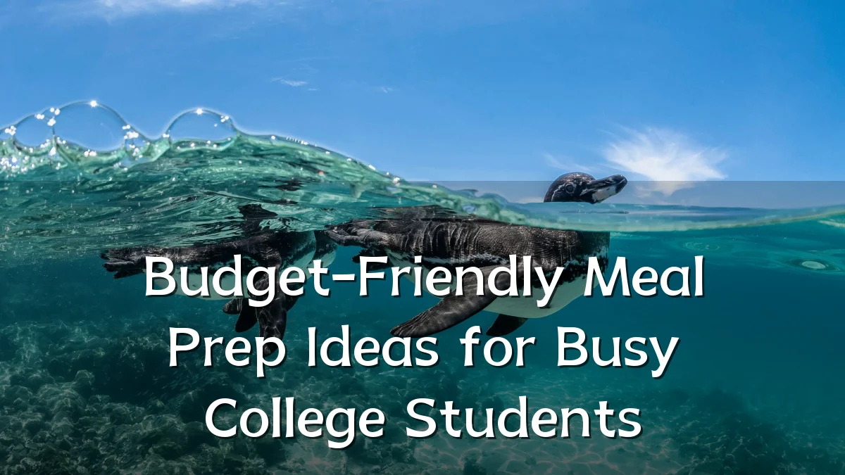 Budget-Friendly Meal Prep Ideas for Busy College Students