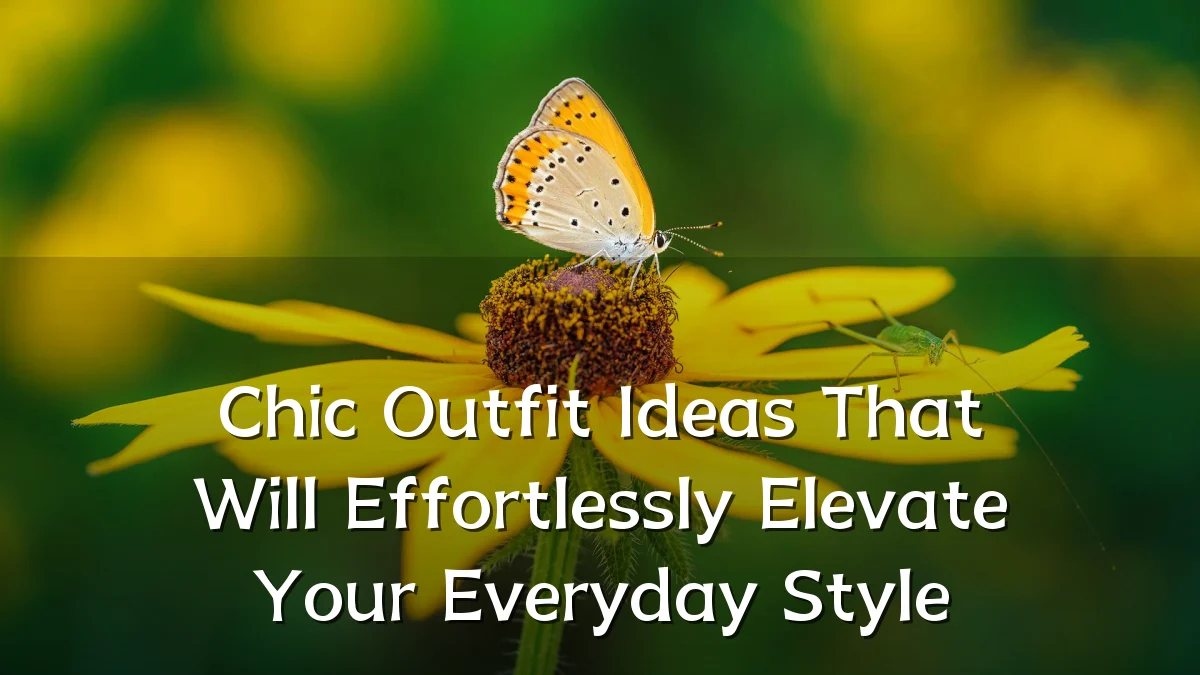 Chic Outfit Ideas That Will Effortlessly Elevate Your Everyday Style