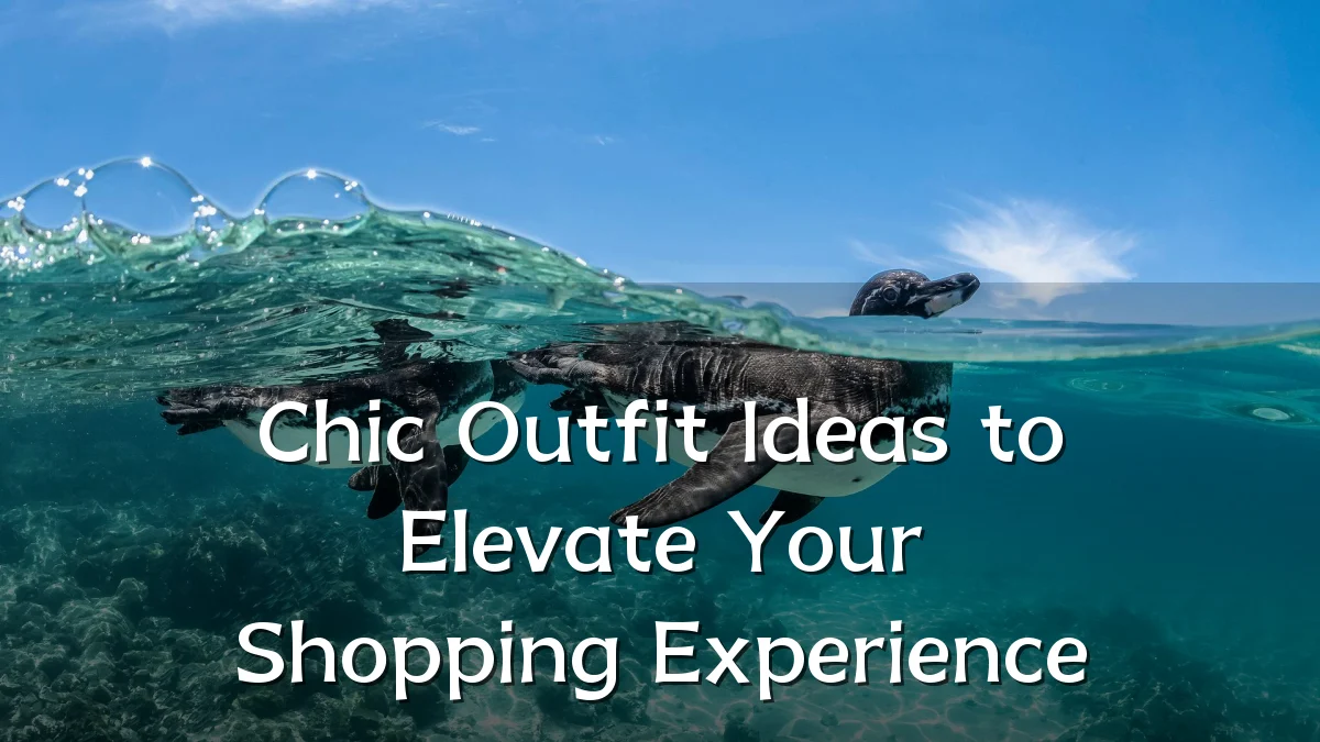 Chic Outfit Ideas to Elevate Your Shopping Experience