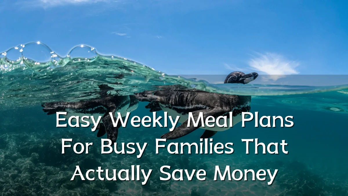 Easy Weekly Meal Plans For Busy Families That Actually Save Money