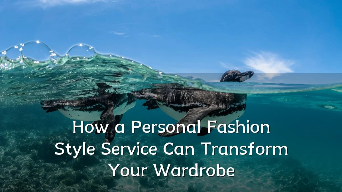 How a Personal Fashion Style Service Can Transform Your Wardrobe