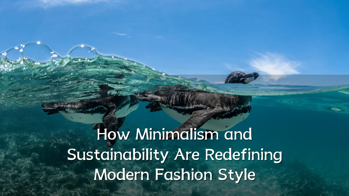 How Minimalism and Sustainability Are Redefining Modern Fashion Style