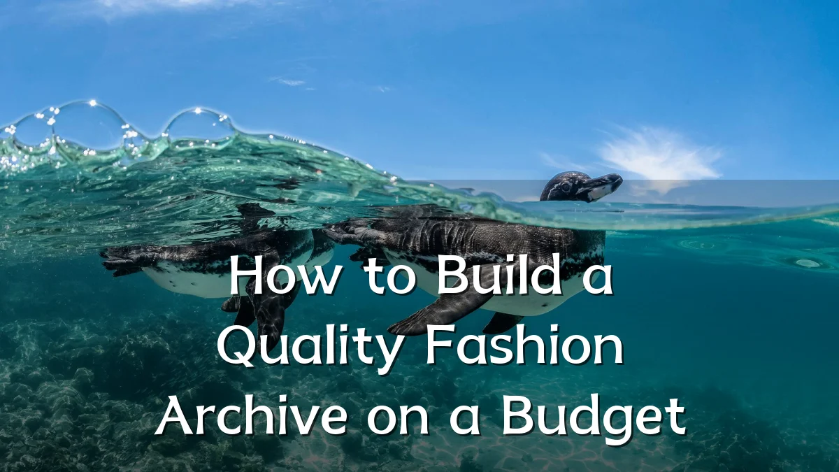 How to Build a Quality Fashion Archive on a Budget