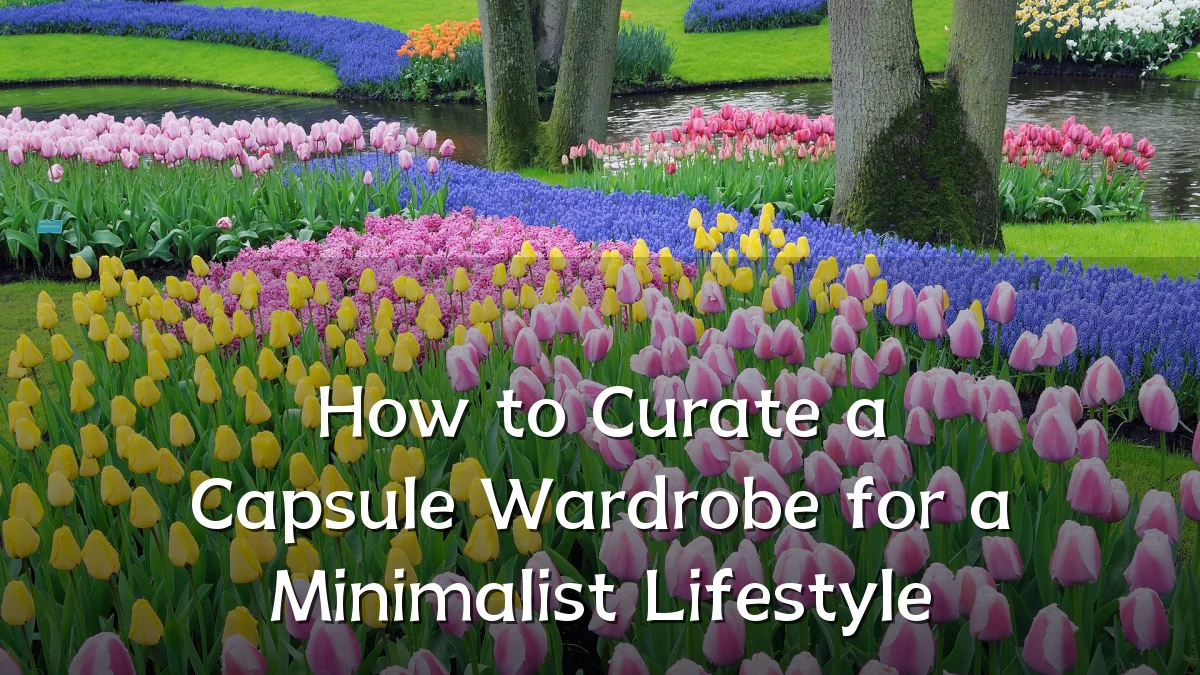 How to Curate a Capsule Wardrobe for a Minimalist Lifestyle