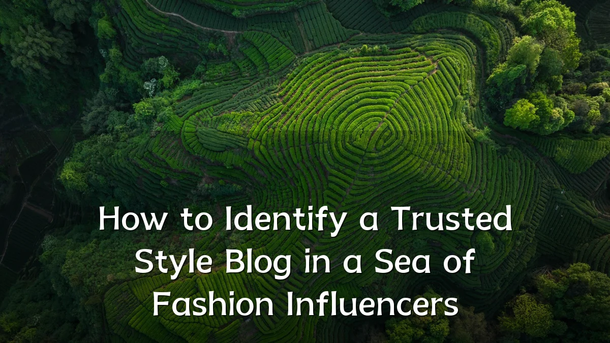 How to Identify a Trusted Style Blog in a Sea of Fashion Influencers