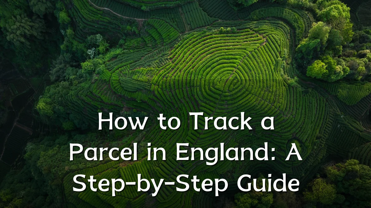 How to Track a Parcel in England: A Step-by-Step Guide