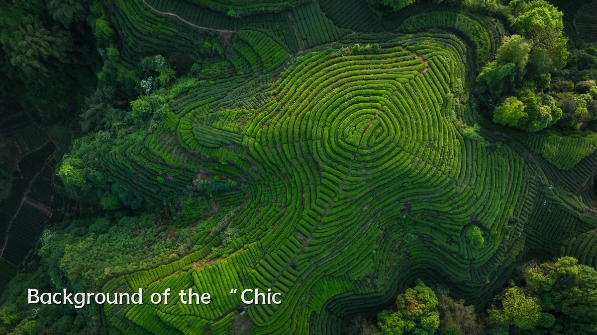 Background of the “Chic