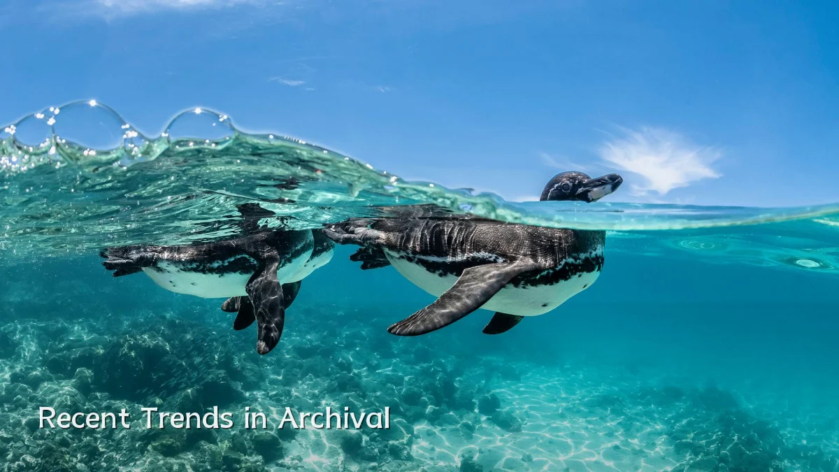 Recent Trends in Archival