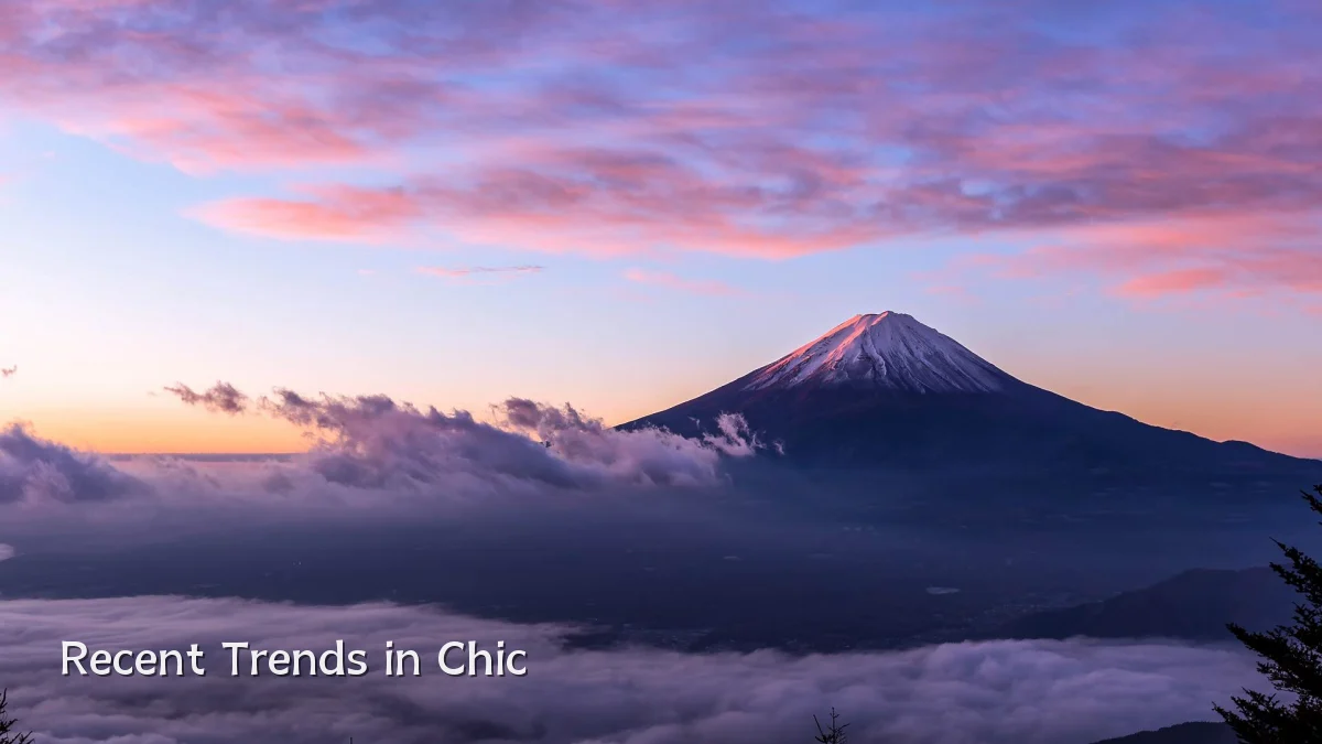 Recent Trends in Chic
