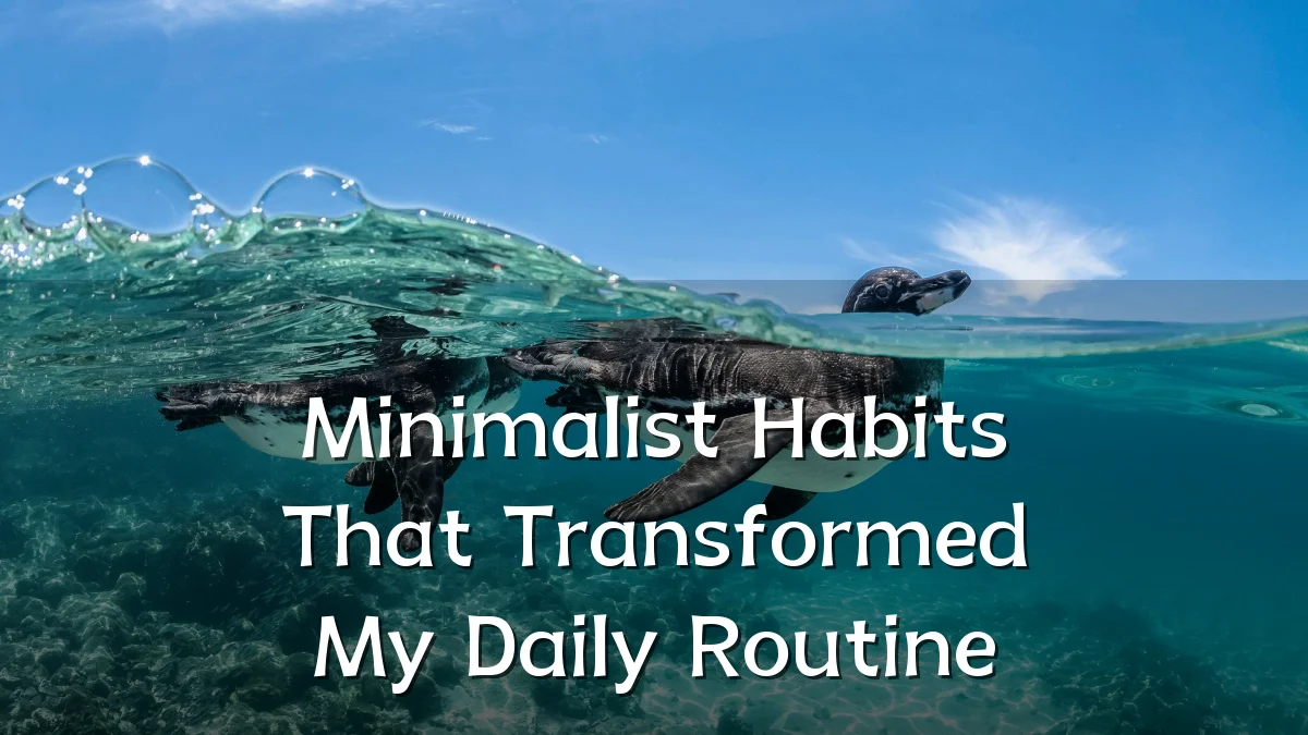 Minimalist Habits That Transformed My Daily Routine