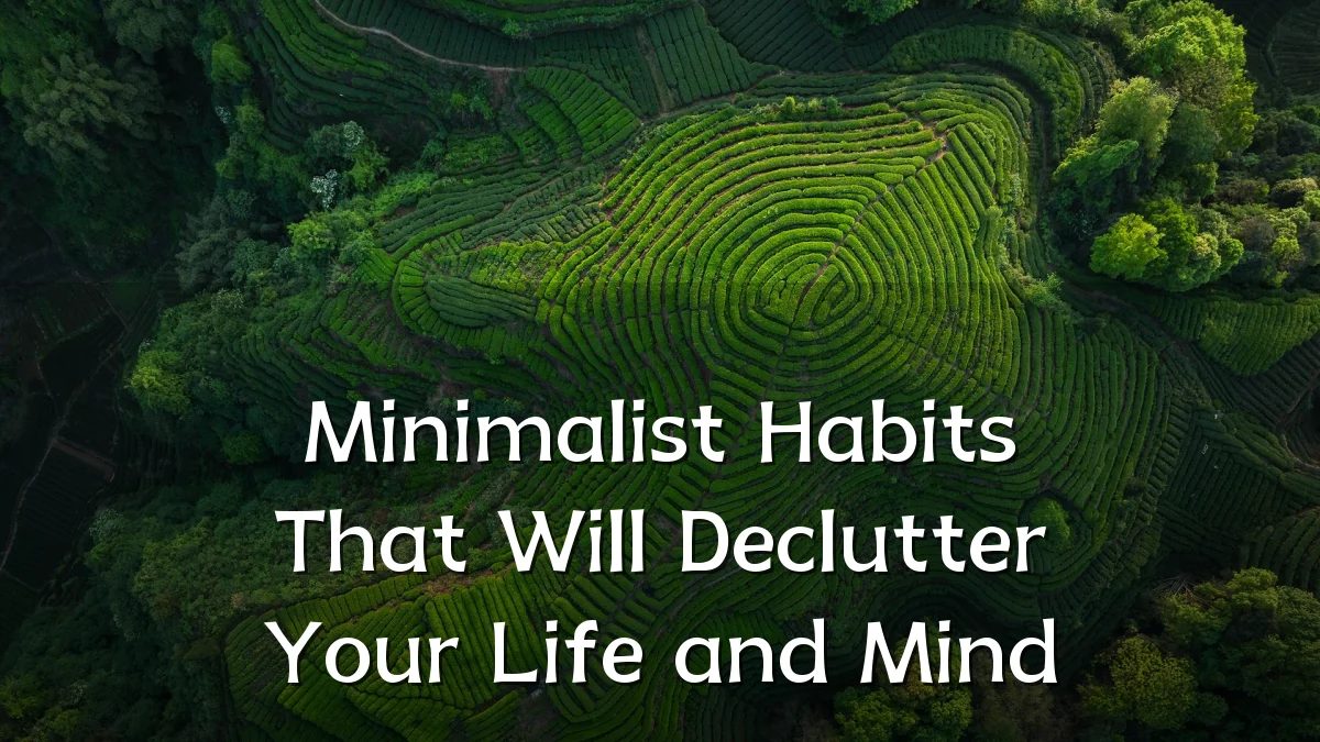 Minimalist Habits That Will Declutter Your Life and Mind
