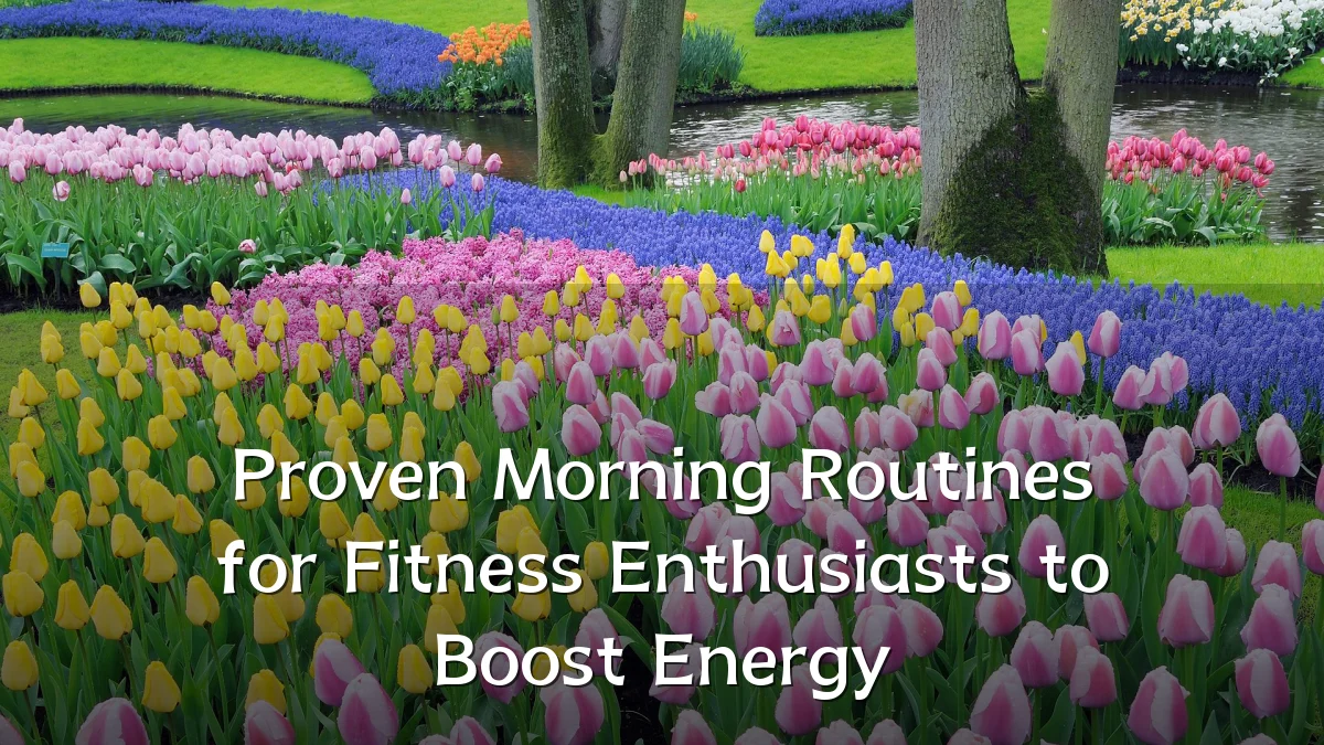 Proven Morning Routines for Fitness Enthusiasts to Boost Energy