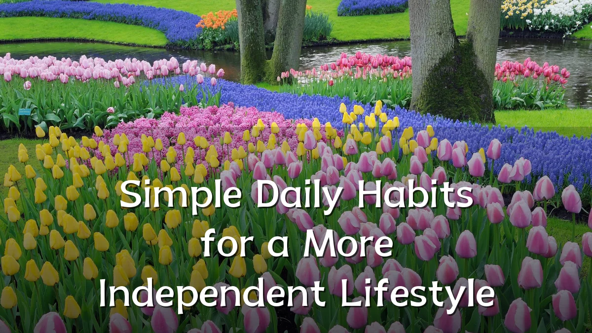 Simple Daily Habits for a More Independent Lifestyle