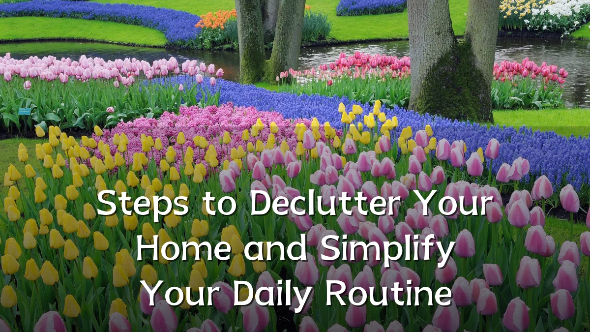 Steps to Declutter Your Home and Simplify Your Daily Routine
