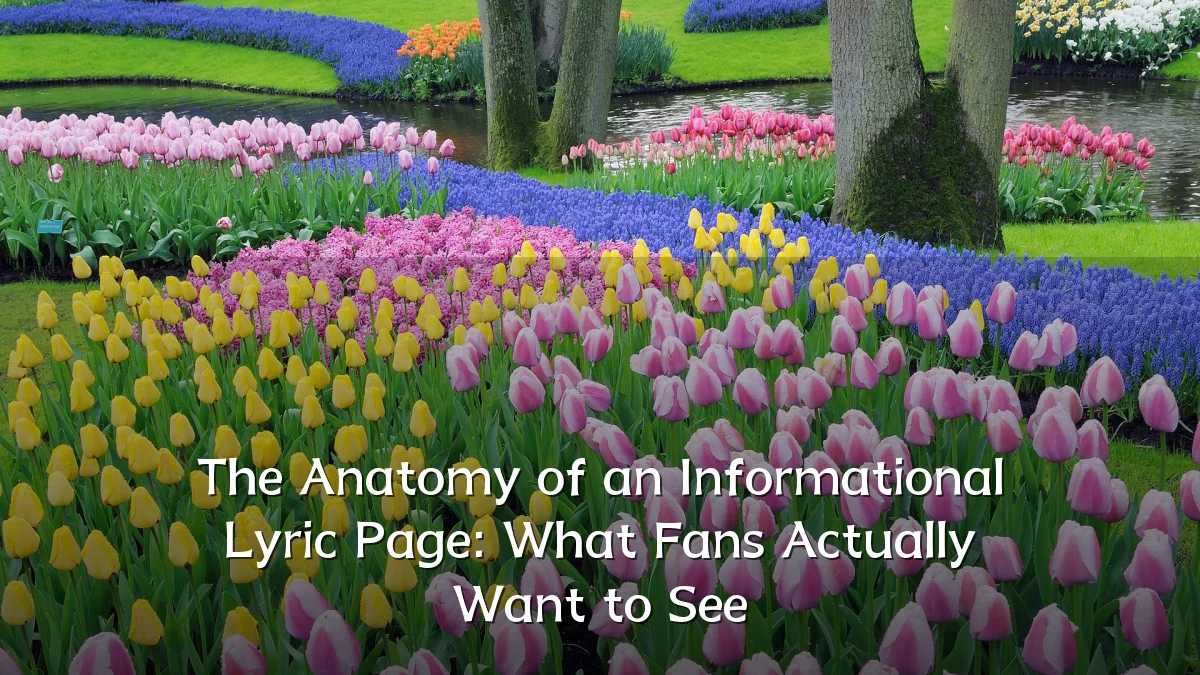 The Anatomy of an Informational Lyric Page: What Fans Actually Want to See
