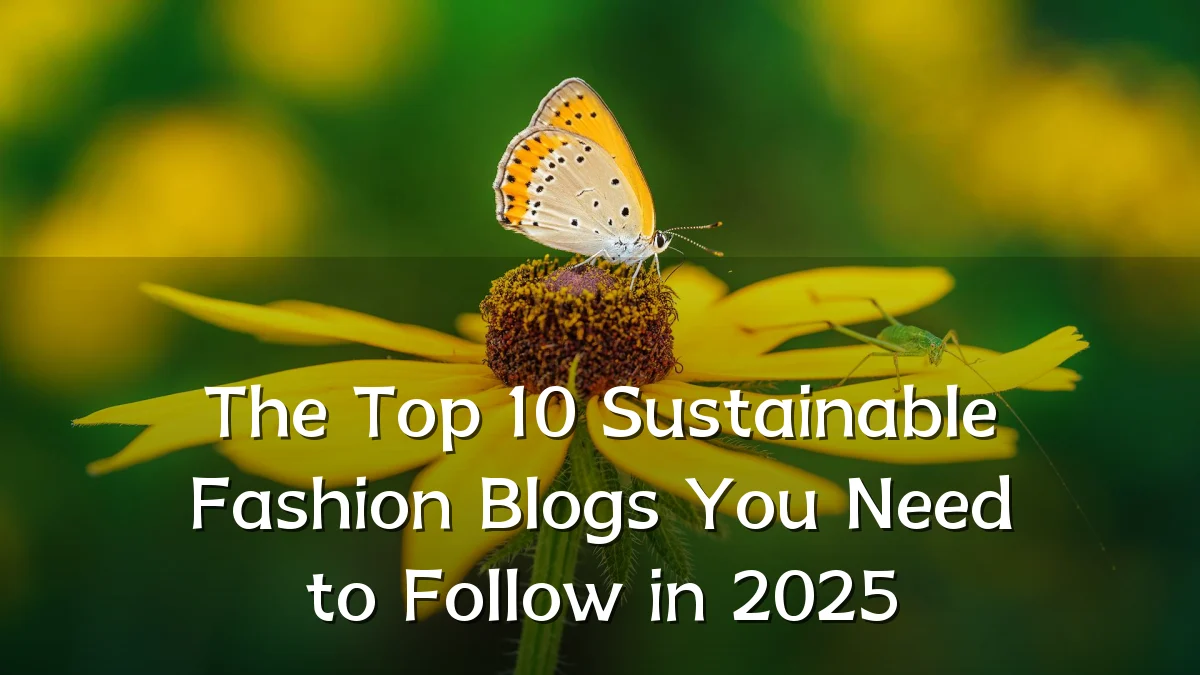 The Top 10 Sustainable Fashion Blogs You Need to Follow in 2025