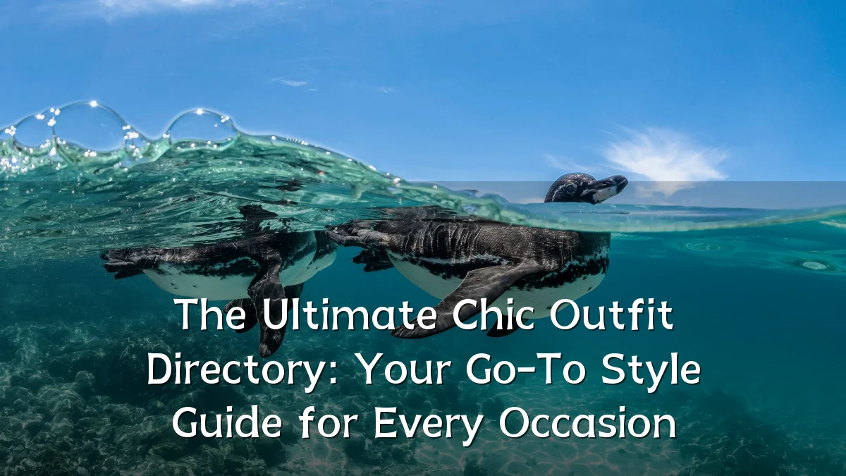 The Ultimate Chic Outfit Directory: Your Go-To Style Guide for Every Occasion
