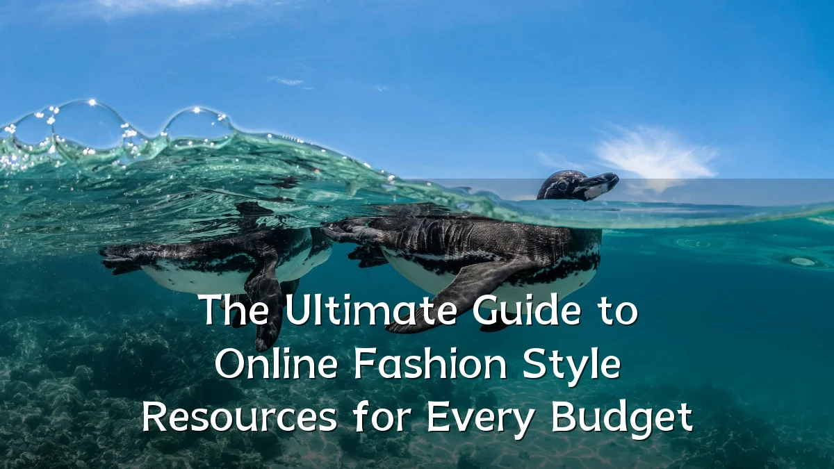 The Ultimate Guide to Online Fashion Style Resources for Every Budget