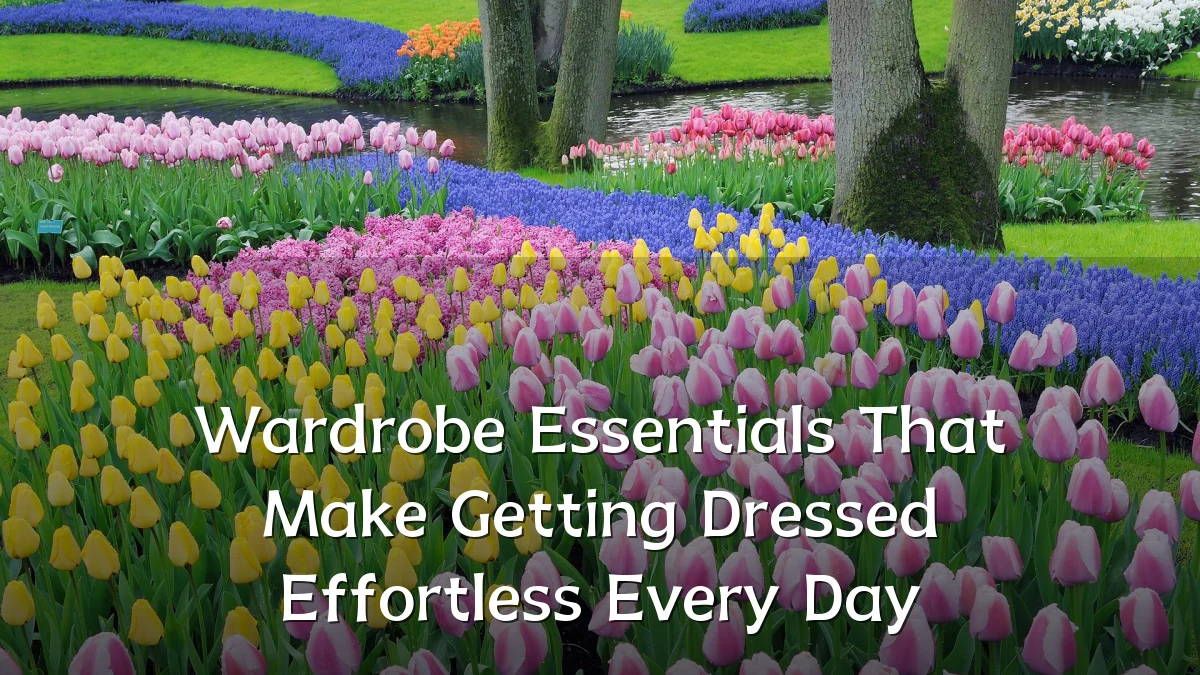 Wardrobe Essentials That Make Getting Dressed Effortless Every Day