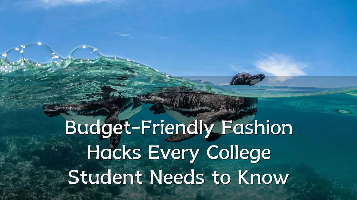 Budget-Friendly Fashion Hacks Every College Student Needs to Know