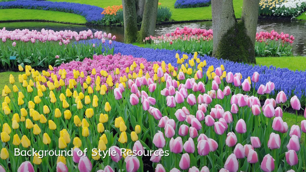 Background of Style Resources