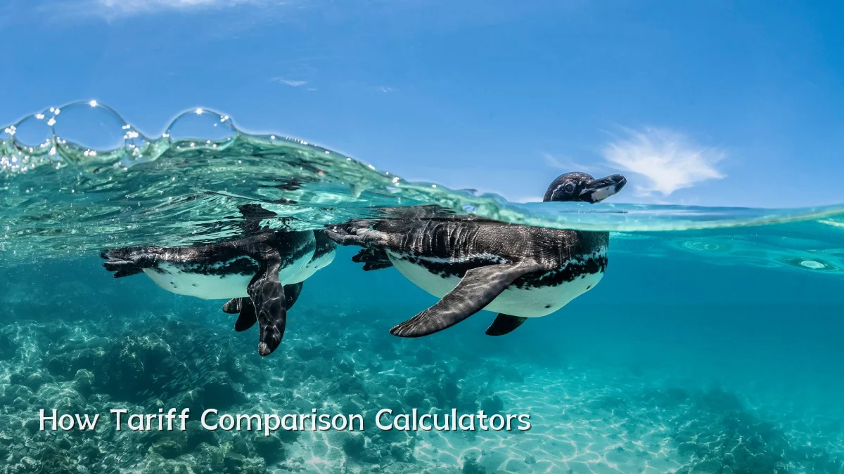 How Tariff Comparison Calculators
