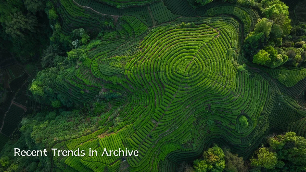 Recent Trends in Archive