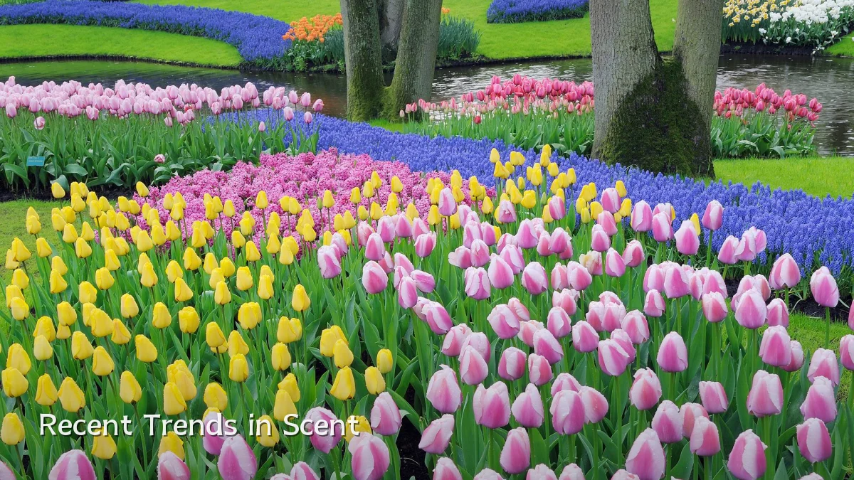 Recent Trends in Scent