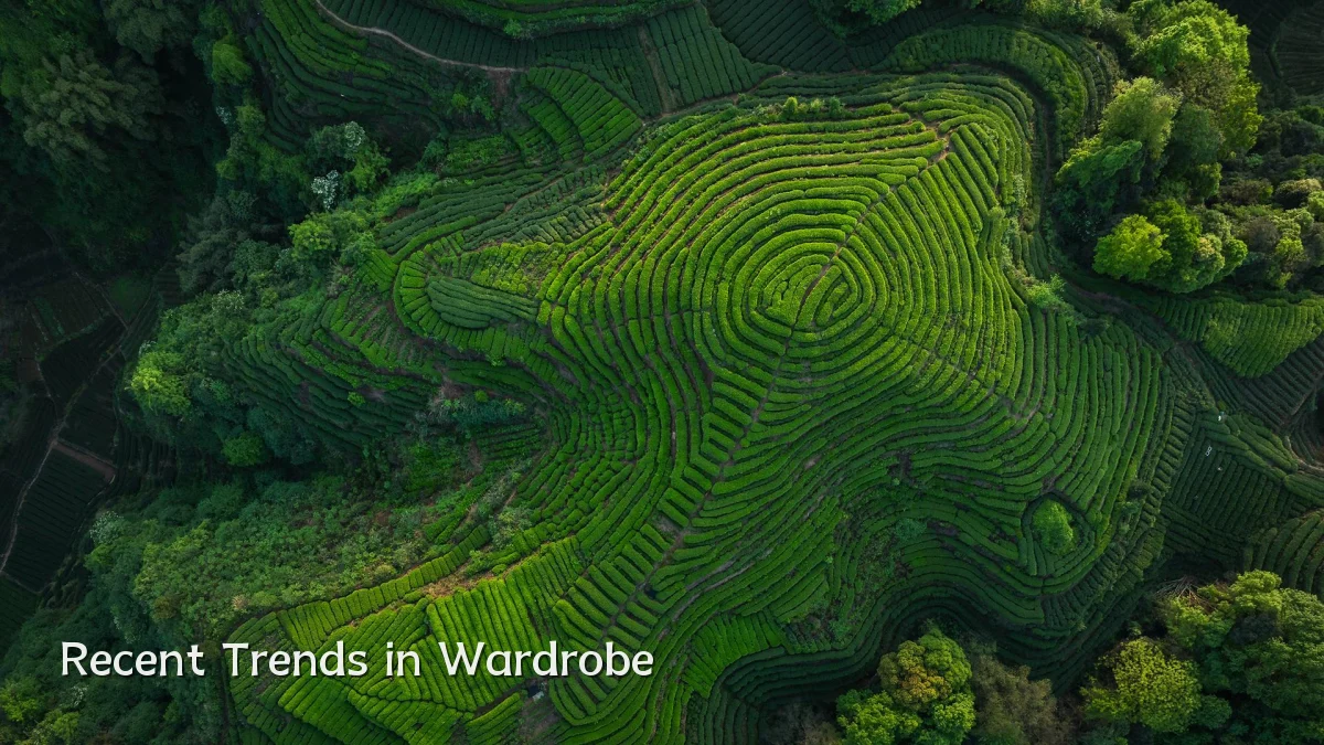 Recent Trends in Wardrobe