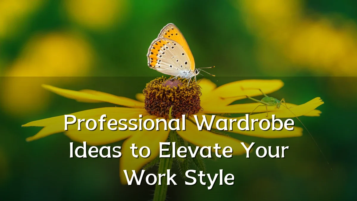 Professional Wardrobe Ideas to Elevate Your Work Style