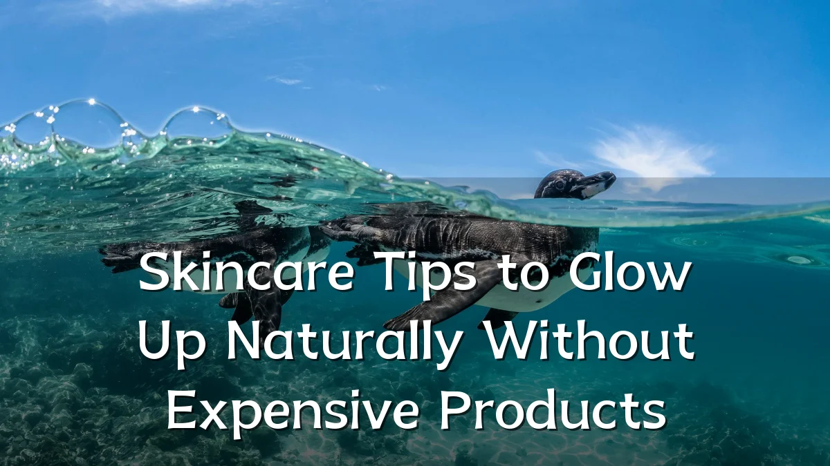 Skincare Tips to Glow Up Naturally Without Expensive Products