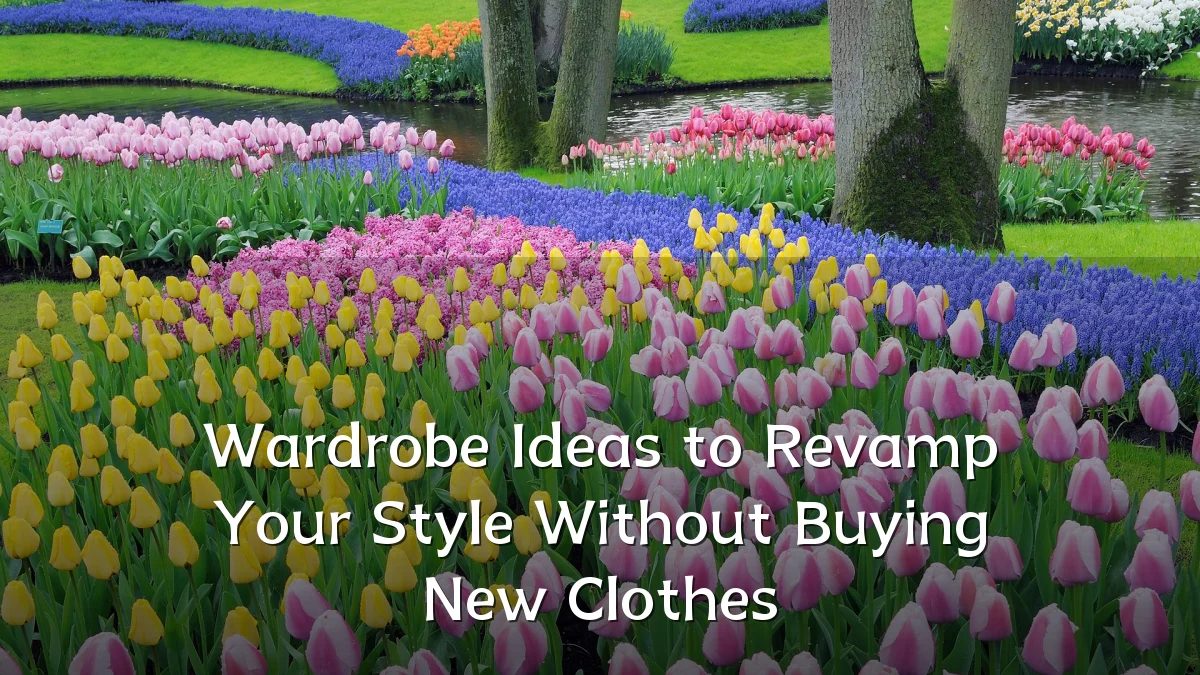 Wardrobe Ideas to Revamp Your Style Without Buying New Clothes
