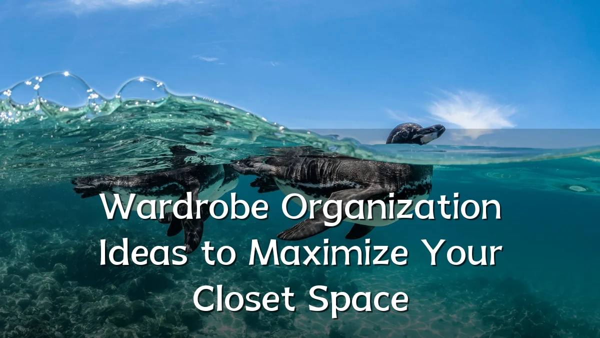 Wardrobe Organization Ideas to Maximize Your Closet Space